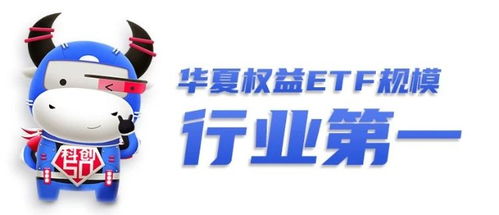 华夏基金 短期估值高低并非核心矛盾,成长空间才是科创板投资关键